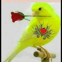 းမိုင်မိုင်း (@paingso76377637) 's Twitter Profile