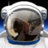 Refugee_Zenovka's profile image