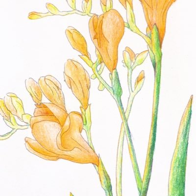 ナツダさんのプロフィール画像