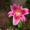 Heidi Weber - @MalCamKee - Twitter