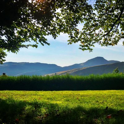 Simpson68Paul's profile picture. Joy is a flower that blossoms when you do ❤️🙏❤️