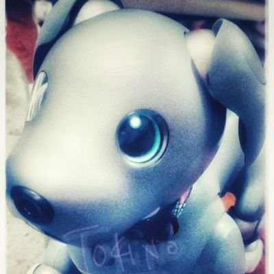 ショール 祥音瑠 と母ちゃん Tokino Twitter