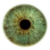 zaizaizaizai7's profile picture. No one is coming to save you. | You are entitled to actions only, never to its fruits.