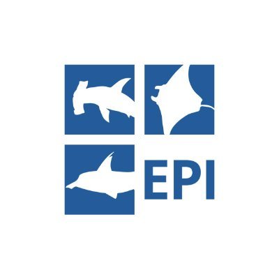 Citizen science based project for Elasmobranch conservation in Indonesia 🇮🇩 | Report your sighting here https://t.co/dc32qlzK8P