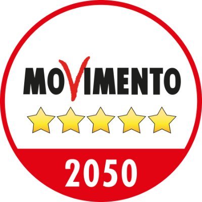 Pagina Twitter del Movimento 5 Stelle Torino