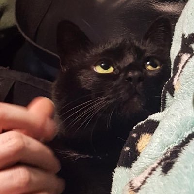 __440827's profile picture. 