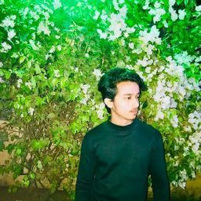 Ansarim13986111's profile picture. 