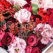 MUSVIR3's profile picture. LOVE TO BEAUTY HUMAN & NATURE,