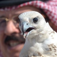 عُـ‘ أ 🤍 (@5aslk_) Twitter profile photo