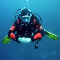 Scuba Diving Lover(@scubadivingyard) 's Twitter Profile Photo