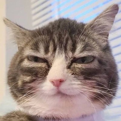 Squama_skin's profile picture. eat sleep sneak repeat..