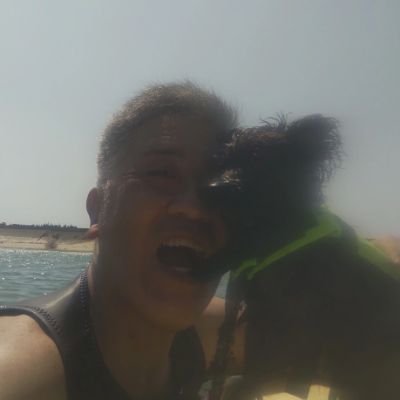 Kago1173's profile picture. 犬大好きでいつも一緒です #ポメラニアン×トイプードル