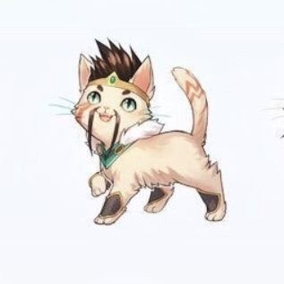 bastidndwhfuie1's profile picture. Der Oberbabo lul