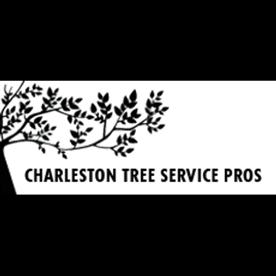 Trees are the lungs of the world as they are the source of oxygen. It seems like they don’t need any help from human beings. But that’s not wholly true.