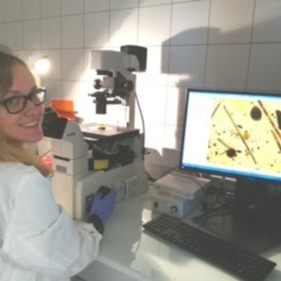 Ph.D. in Marine Science, Biology and Ecology 🔬🧬🦠🌊 from @LOG_labo 🇫🇷 Post-doc researcher and academic assistant at @Ugent 🇧🇪