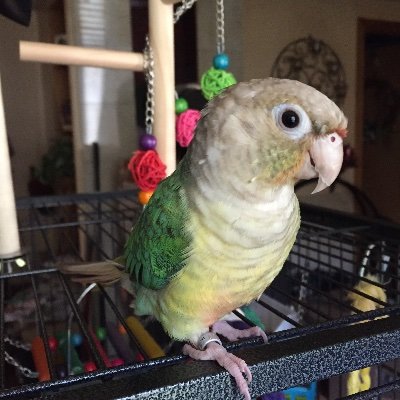 banksmillion's profile picture. 