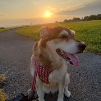 Brenda (@torpedobrenda) 's Twitter Profile Photo Brenda (@torpedobrenda) 's Twitter Profile Photo