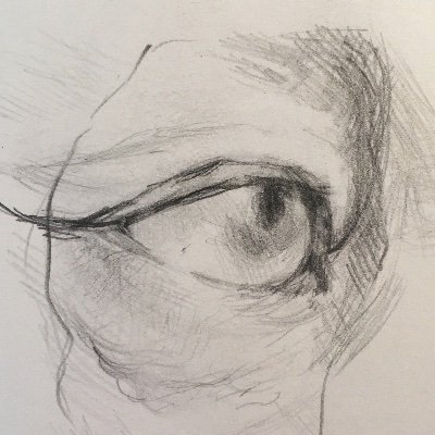 HarrietHatwell's profile picture. :)