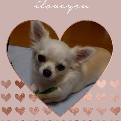 ランペ→藤原樹
GENE→片寄涼太
最近は赤楚衛二くん好きです🥰
25over30over大歓迎です❣