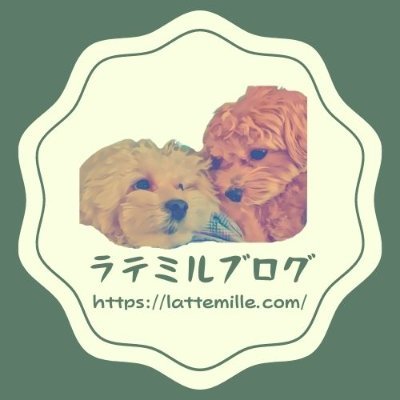 ラテ♂🎂2019/09/11 ミル♂🎂2019/10/18 マルプーのラテミルとの生活を発信しています! 2021年5月から始めたラテミルブログは3週間で収益化達成! 月間1.5万PV!広告掲載やライターのお仕事の相談はお気軽にDMまで!