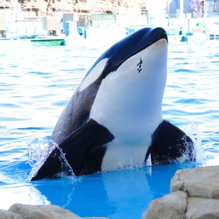 ガロア パフェ気になってたのですが 栗が苦手てで 食用花は別のメニューで食べたのですが 苦い野菜のお味でしたね ディズニーシー行きたいですが ガロア パフェ気になってたのですが 栗が苦手てで 食用花は別のメニューで食べたのですが 苦い野菜のお味でしたね ディズニーシー行きたいですが