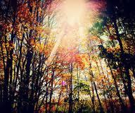 Married 25 yrs-have a living-at-home-going-to-college daughter. Love reading, music, blue skies and sunshine.