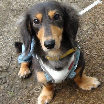 harmy1975's profile picture. 