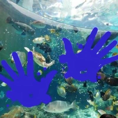 kumanoko_mikako's profile picture. 以前、放デイで管理者、児発管として働いていましたが、最近から異動で入所施設のサビ管として働いています。