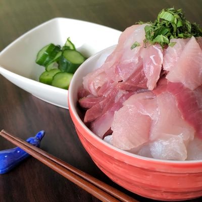 四国に棲息する大型草食獣。
海釣りで食料を確保し、サブカルチャーで浪費する。