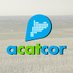 Acatcor (@acatcoregants) Twitter profile photo Acatcor (@acatcoregants) Twitter profile photo