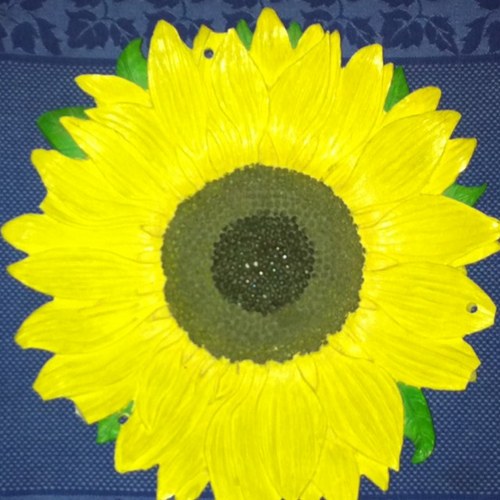 Schiskojenno's profile picture. 