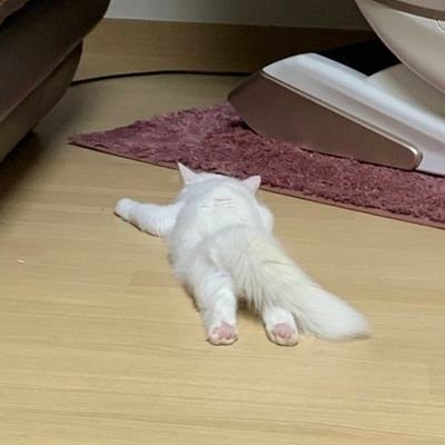 Bswp151's profile picture. ขอให้โลกใจดีกับเรา:)​