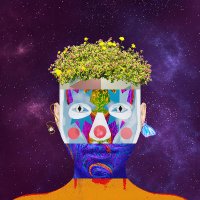 Beck Mercer ❤️ Memecoin (@mercerbecker) 's Twitter Profile