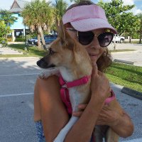 Carolyn Chambers Clark (@drccclark) 's Twitter Profile Photo