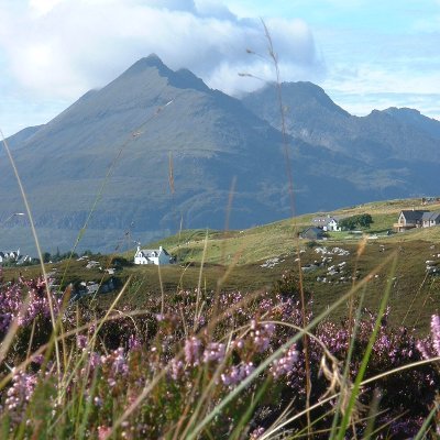 CaroleInglis's profile picture. They can take people out the independence movement, but they can't take independence out the people.