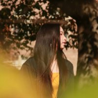 Xiangyi Fang (@xfang01) 's Twitter Profile