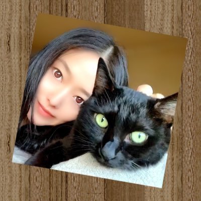 gwb_nyan's profile picture. 現在は保護猫4匹の母ちゃん🐾すべてのリンクはこちらから➡️ https://t.co/4ZHF9b9o9X