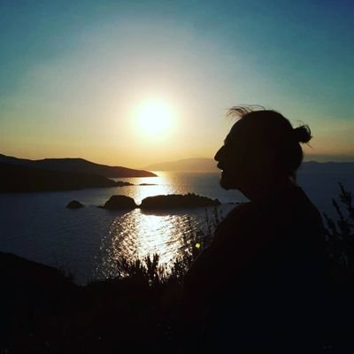 memetmalkoc's profile picture. 🚢⚓İris Shipping&Chartering&Protecting Agency&International Trade (Bandırma/Rotterdam) 
KOÜ 🎓 PRÜ https://t.co/rOagNq5swY
#Galatasaray