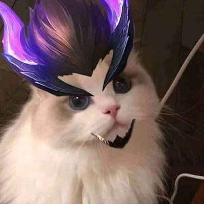 ZenZephyR3's profile picture. @tonnel_network