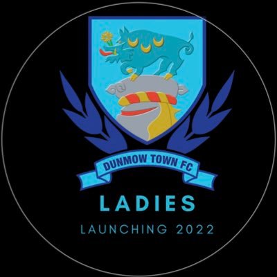 Launching season 22/23. Ladies side plus girls teams. Interested parties contact @noakessimon or DM #Royals