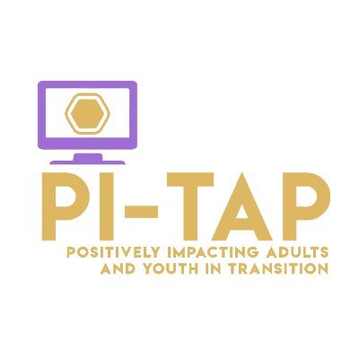 At Pi-TaP (Positively Impacting Adults and Youth in Transition) we provide participants with technical skills training to help them launch careers.