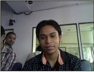 I am looking for developing websites in Word press, PHP. ASP .NET, HTML, CSS.