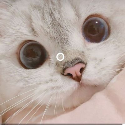 Hades7w's profile picture. 