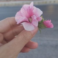 hiba mahmoode๐ค (@hjqcohhrbnf4ars) 's Twitter Profile Photo hiba mahmoode๐ค (@hjqcohhrbnf4ars) 's Twitter Profile Photo