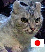 syldra's profile picture. 1980年3月5日生まれ　さいたま市在住♂　Conservative