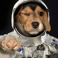 Squeeze (@cryptosqueeze) 's Twitter Profile Photo Squeeze (@cryptosqueeze) 's Twitter Profile Photo