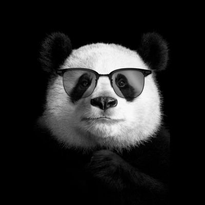 I am Panda