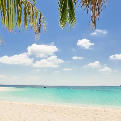 austintampabay's profile picture. 