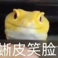 六六三十六さんのプロフィール画像