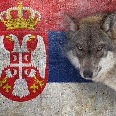 MilanJsR's profile picture. Nzm